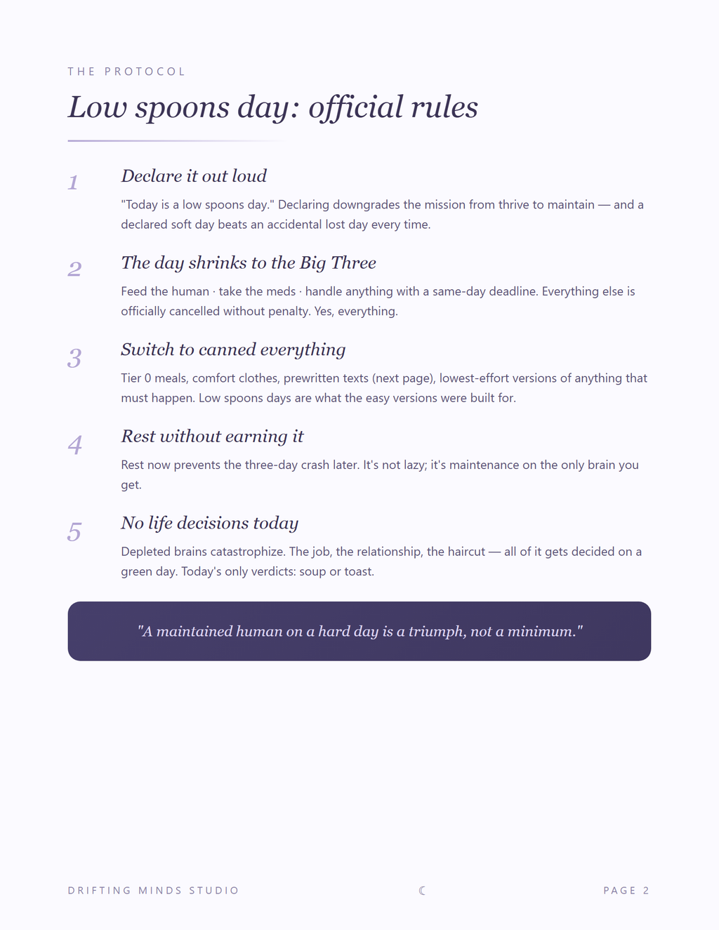 Low Spoons Day Kit interior page