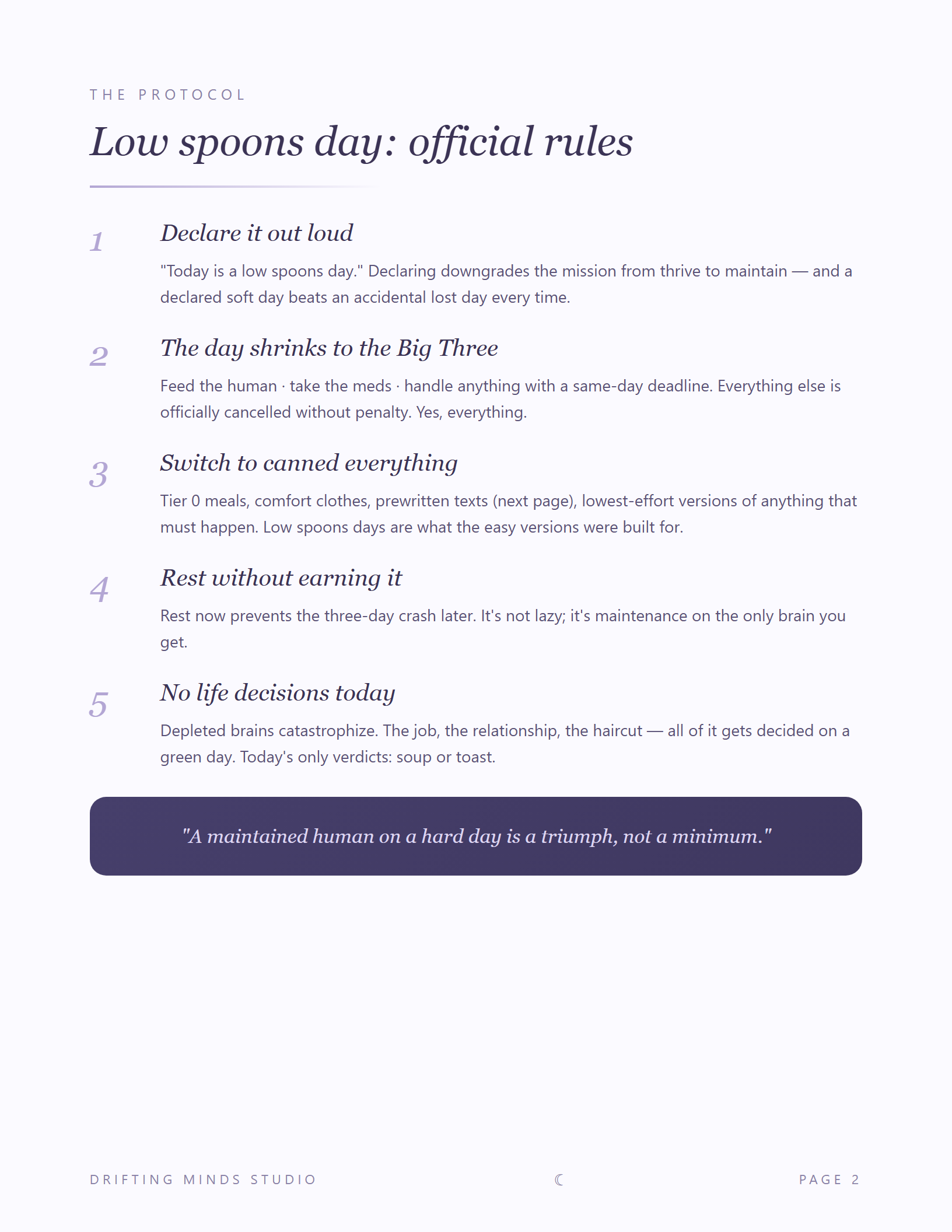 Low Spoons Day Kit interior page
